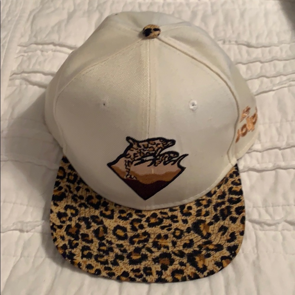 Pink Dolphin Hat